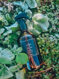 Imagem de Home Spray Solstício de Inverno